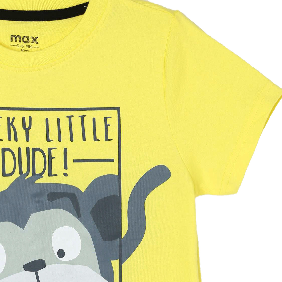 Cheeky Little Dude Boys T Shirt