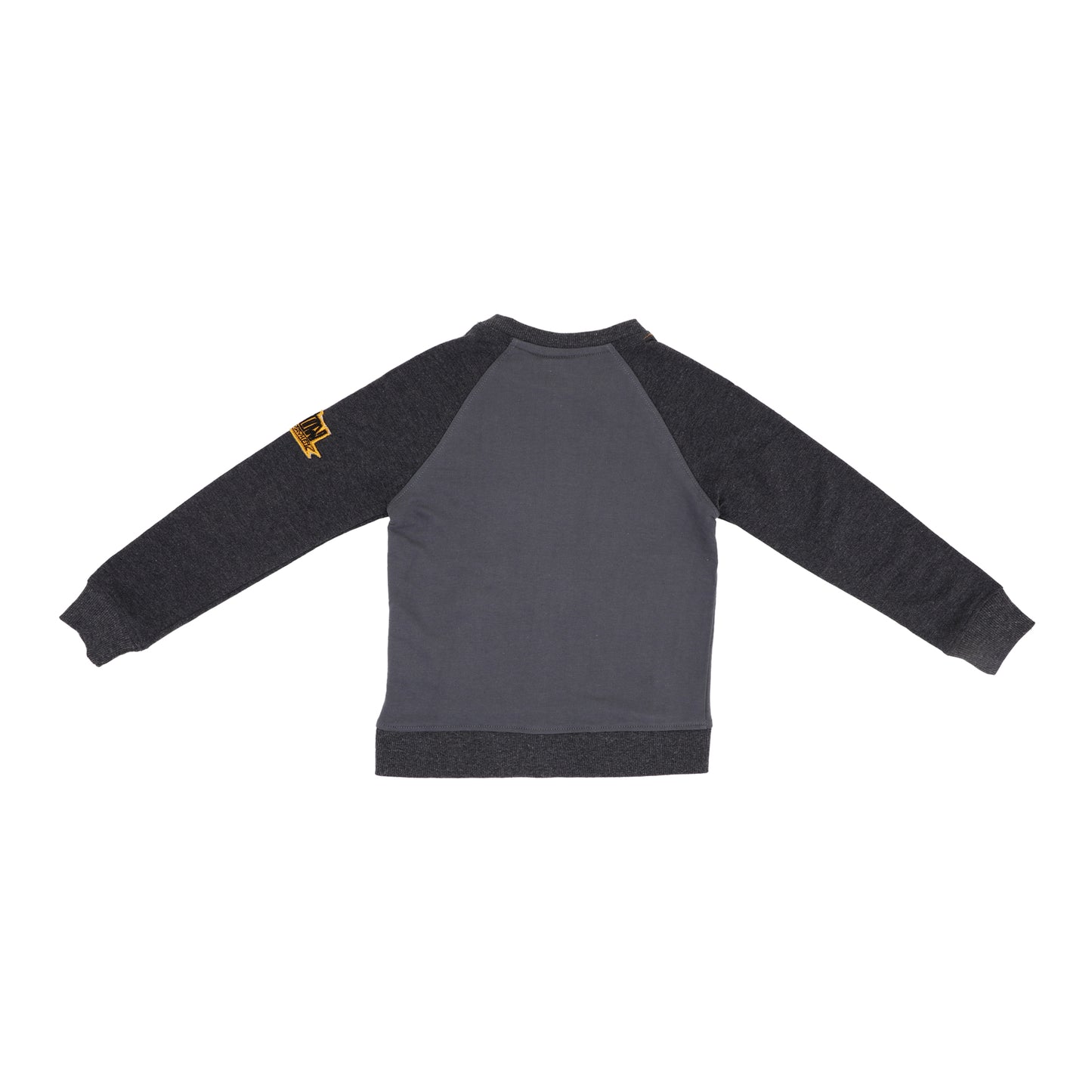 Minion Boys Zipper Jacket