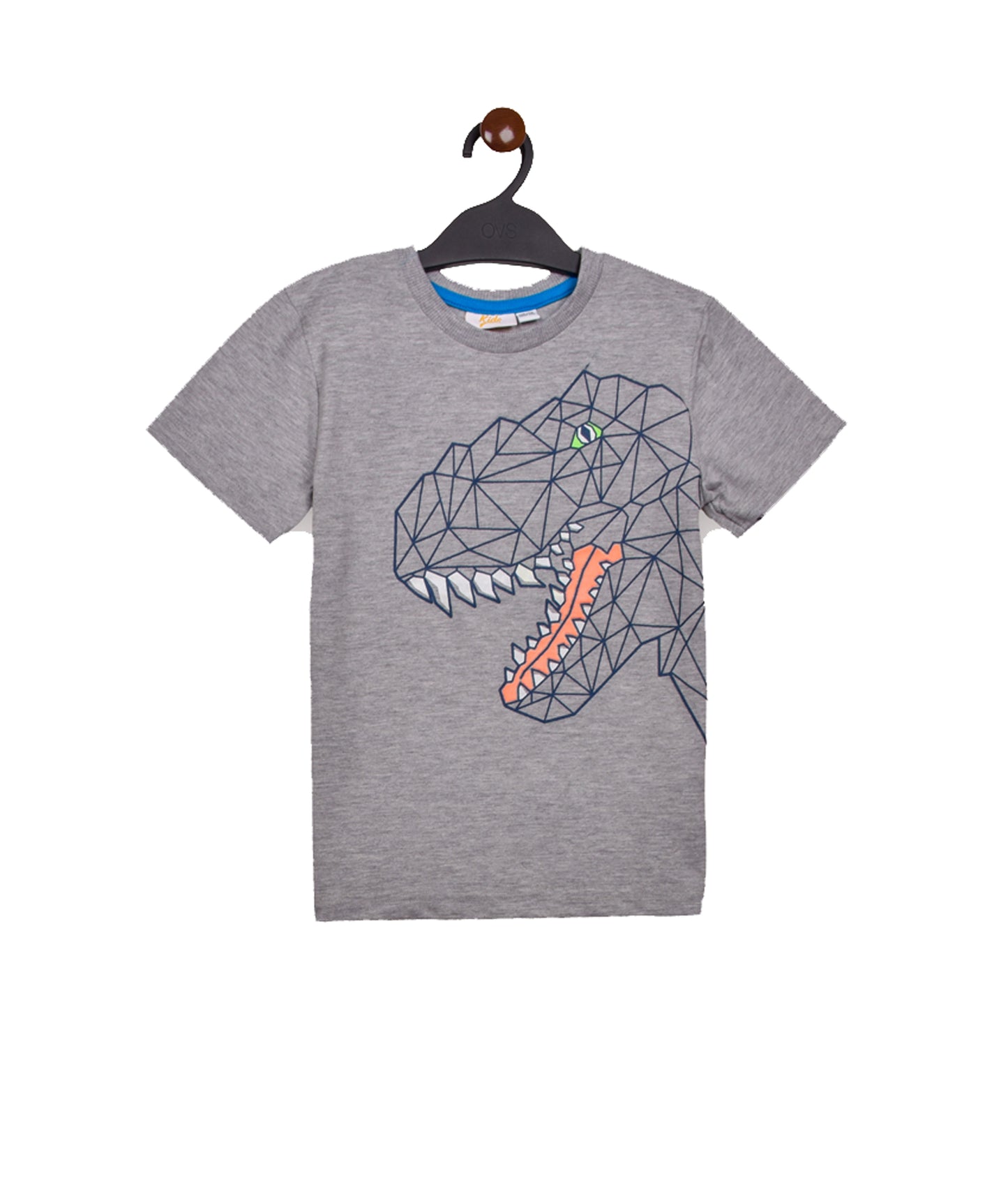 Dinosaur Boys Outwear Shorty Set