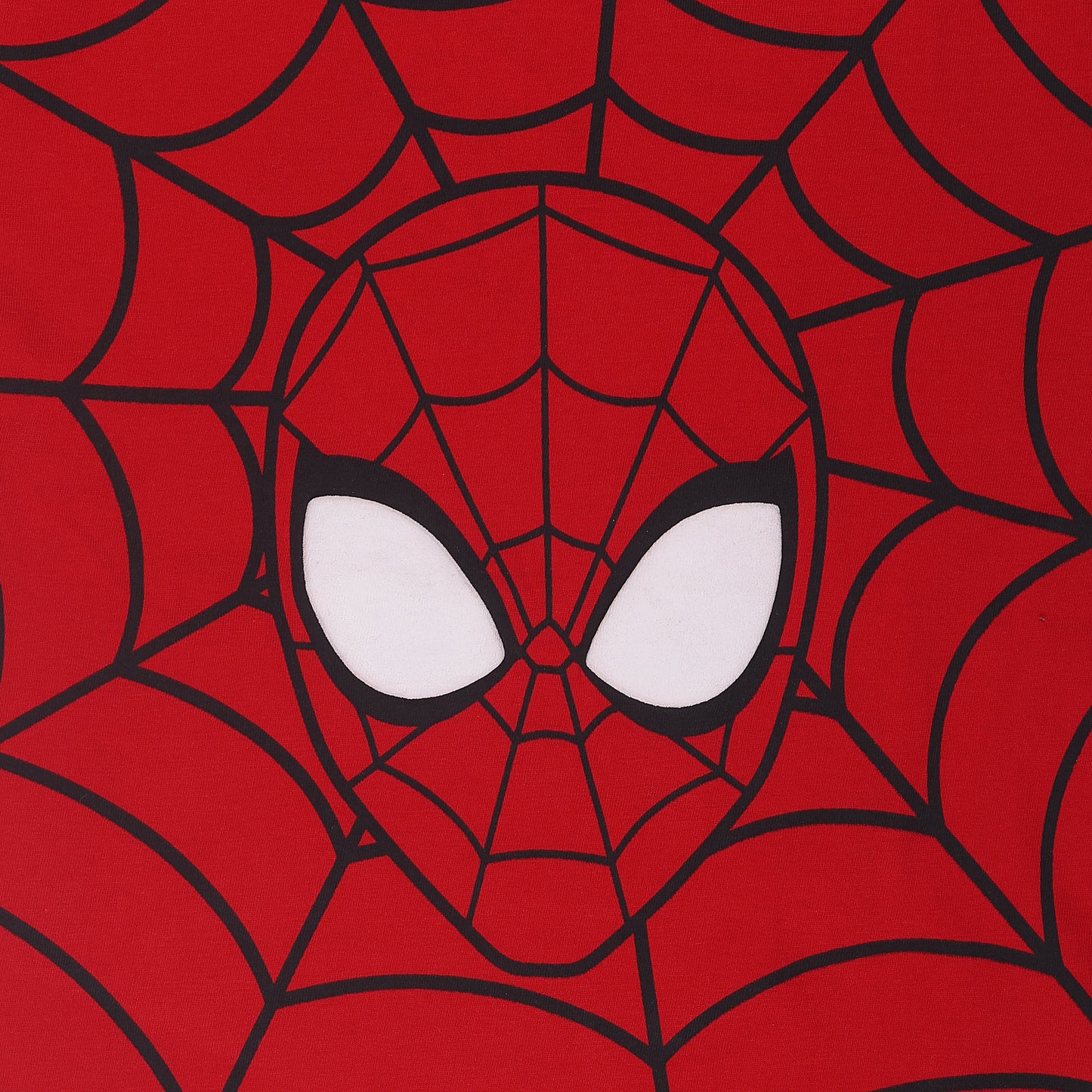 Spiderman Web Boys Short Sleeve Outing T Shirt
