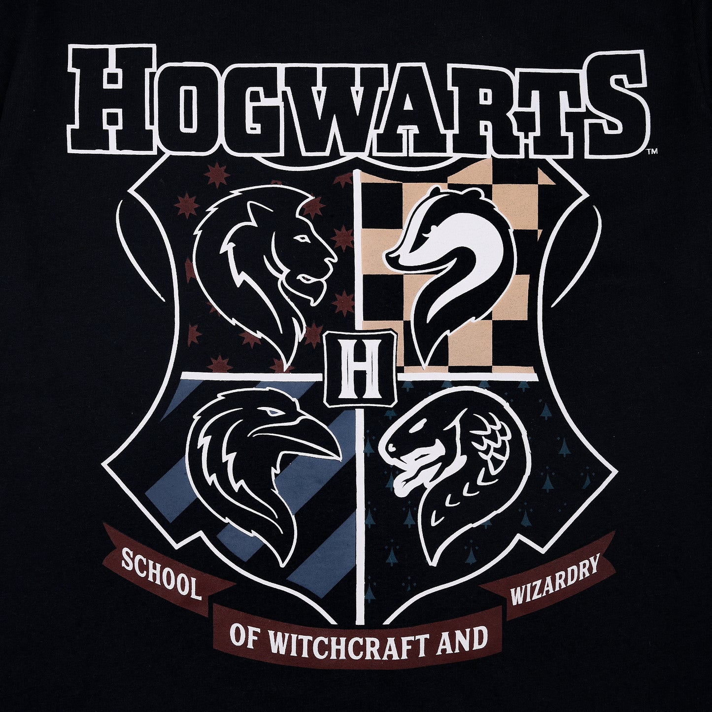 Hogwarts Printed Boys Full Sleeve Knitted Casual And Outing T Shirt