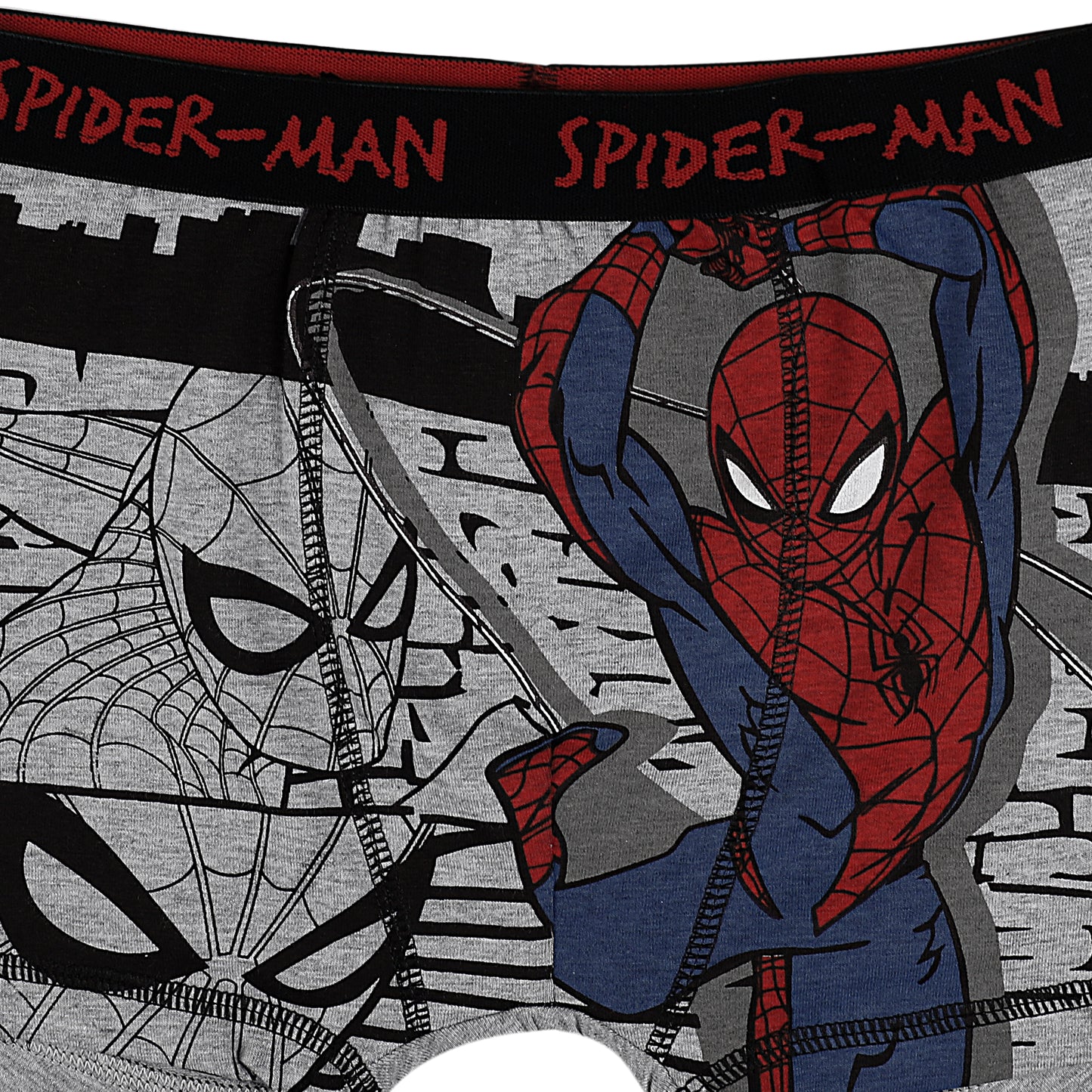 Spiderman All Day And Night Comfort Briefs