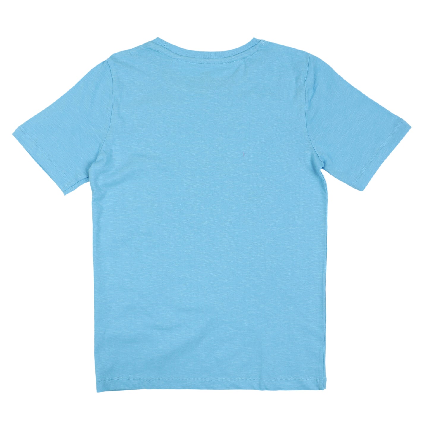 Disney Simba The Lion King T Shirt