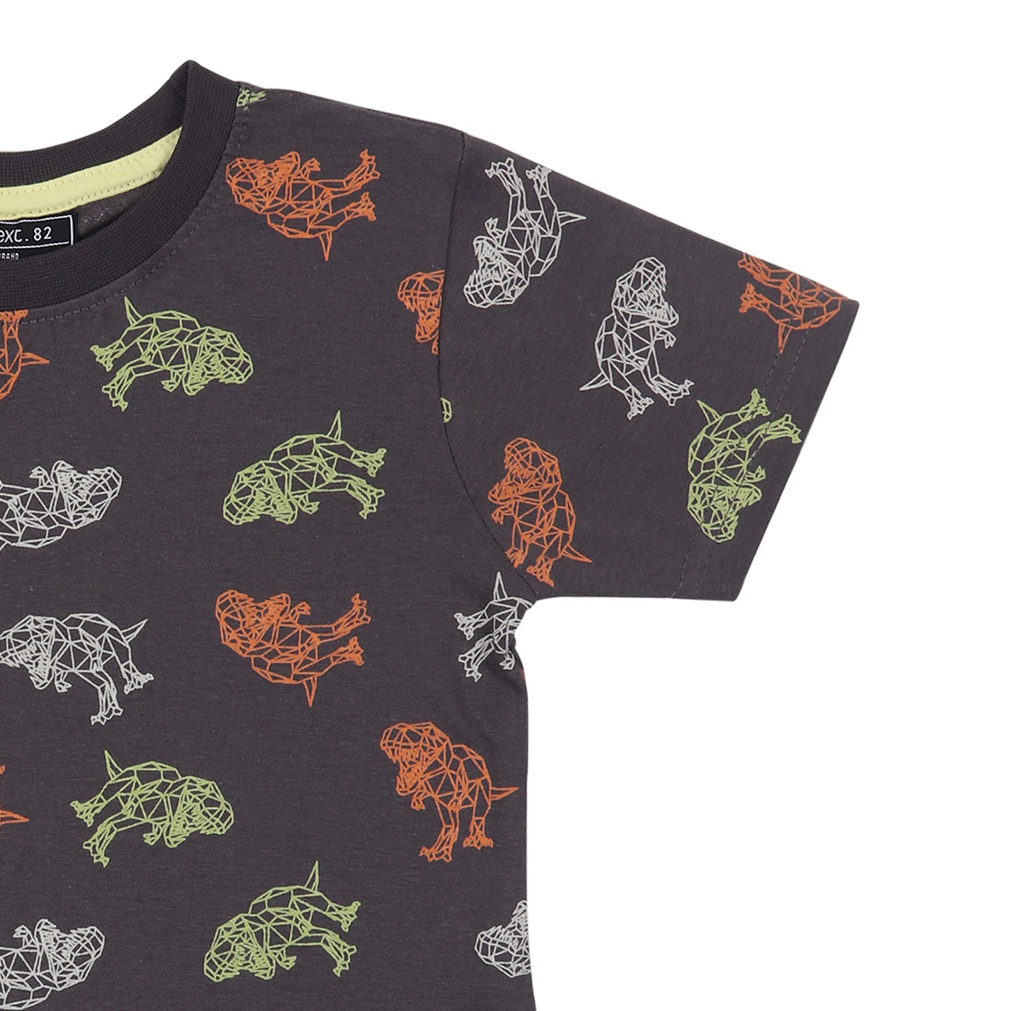 Dinosaur Print Boys T Shirt