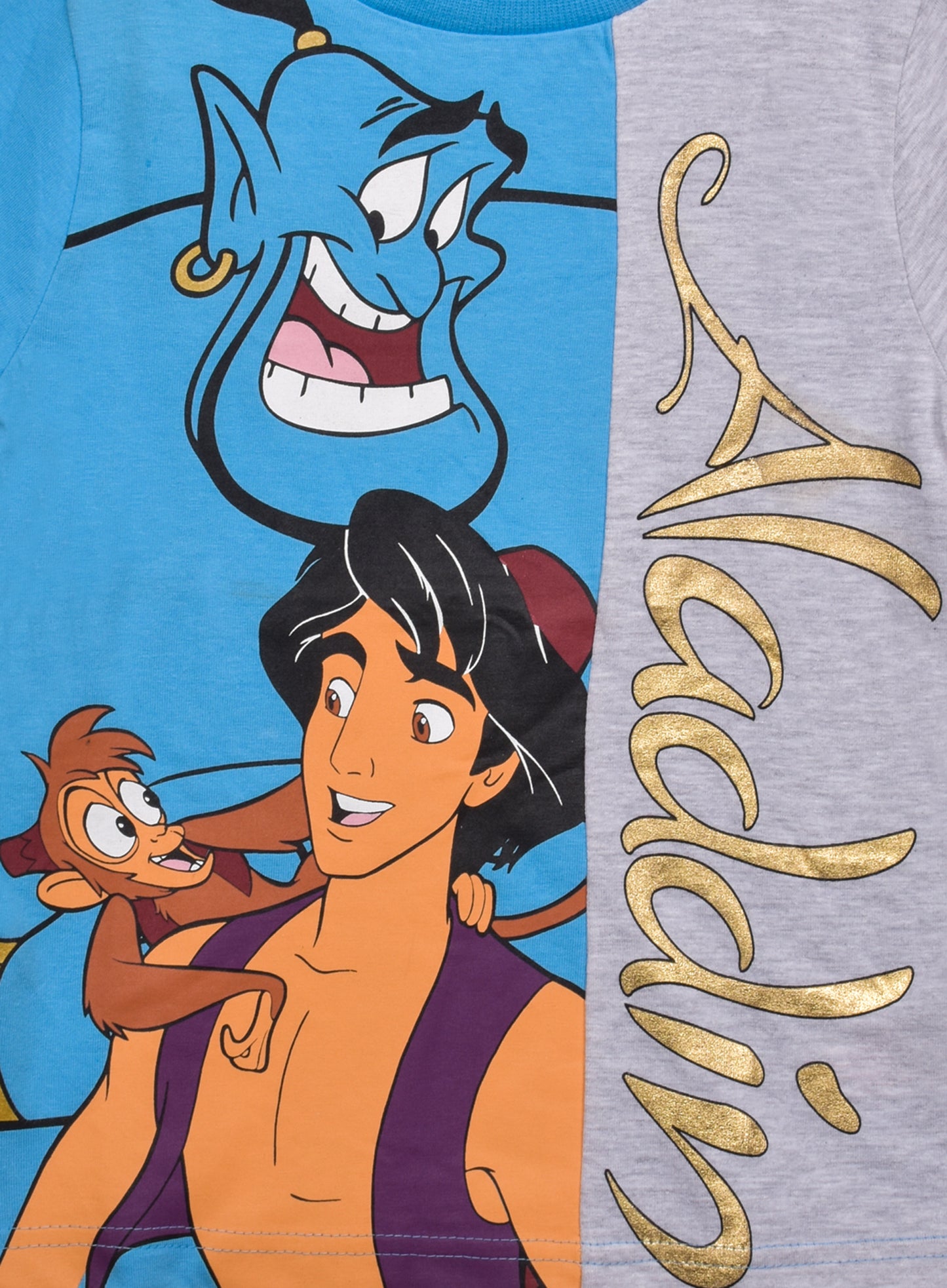 Disney Aladdin And Genie Boys T Shirt