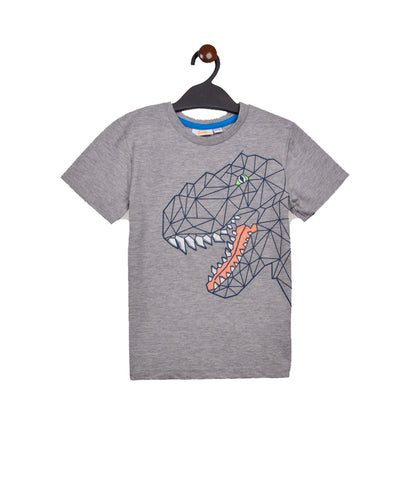 Dinosaur Boys Outwear Shorty Set
