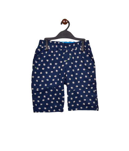 Dinosaur Boys Outwear Shorty Set