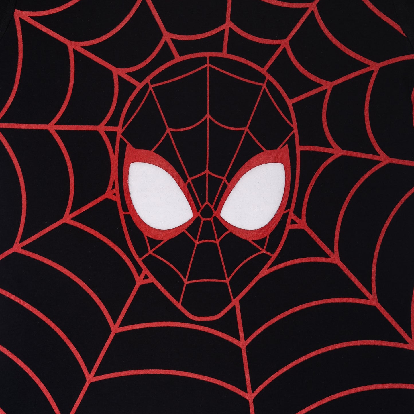 Spiderman Web Boys Short Sleeve Outing T Shirt