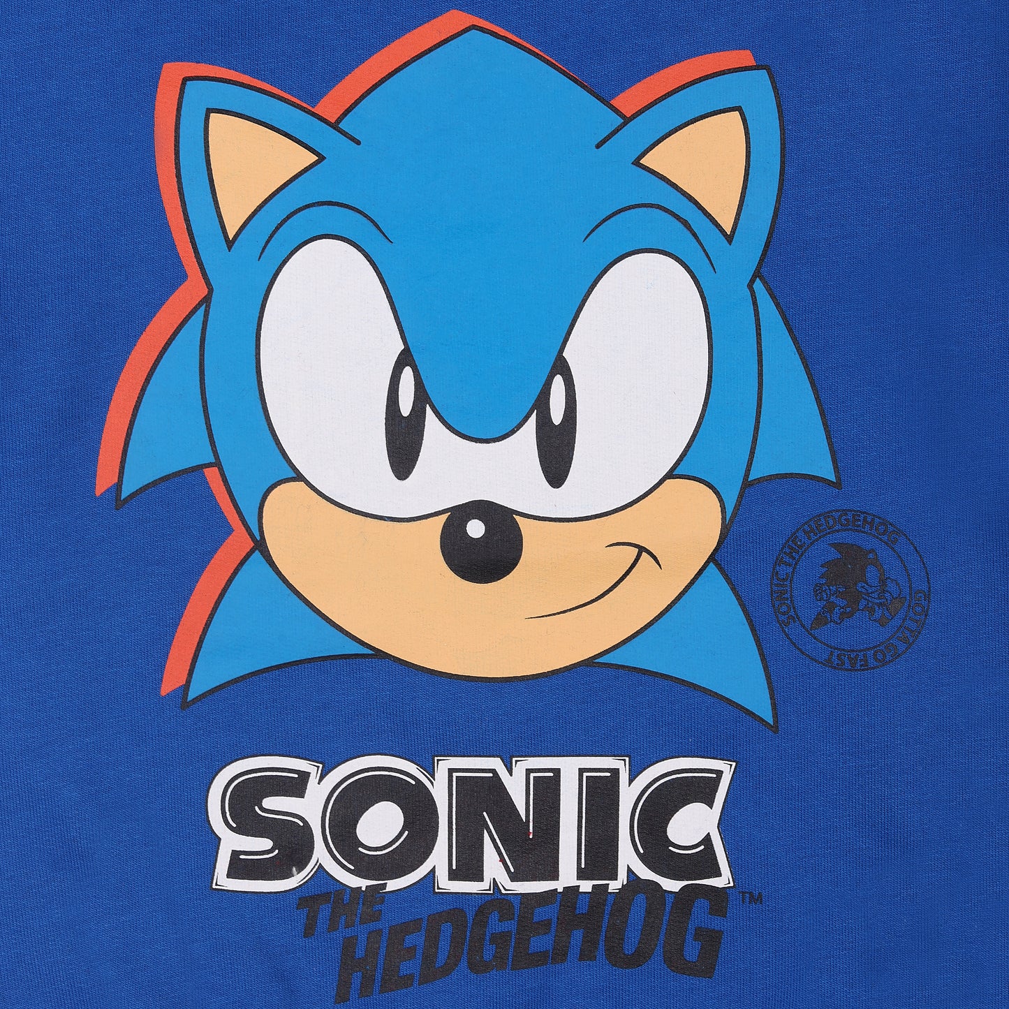 Sonic The Hedgehog Boy Outing Knitted Travelling Warmer And Sweatshirt