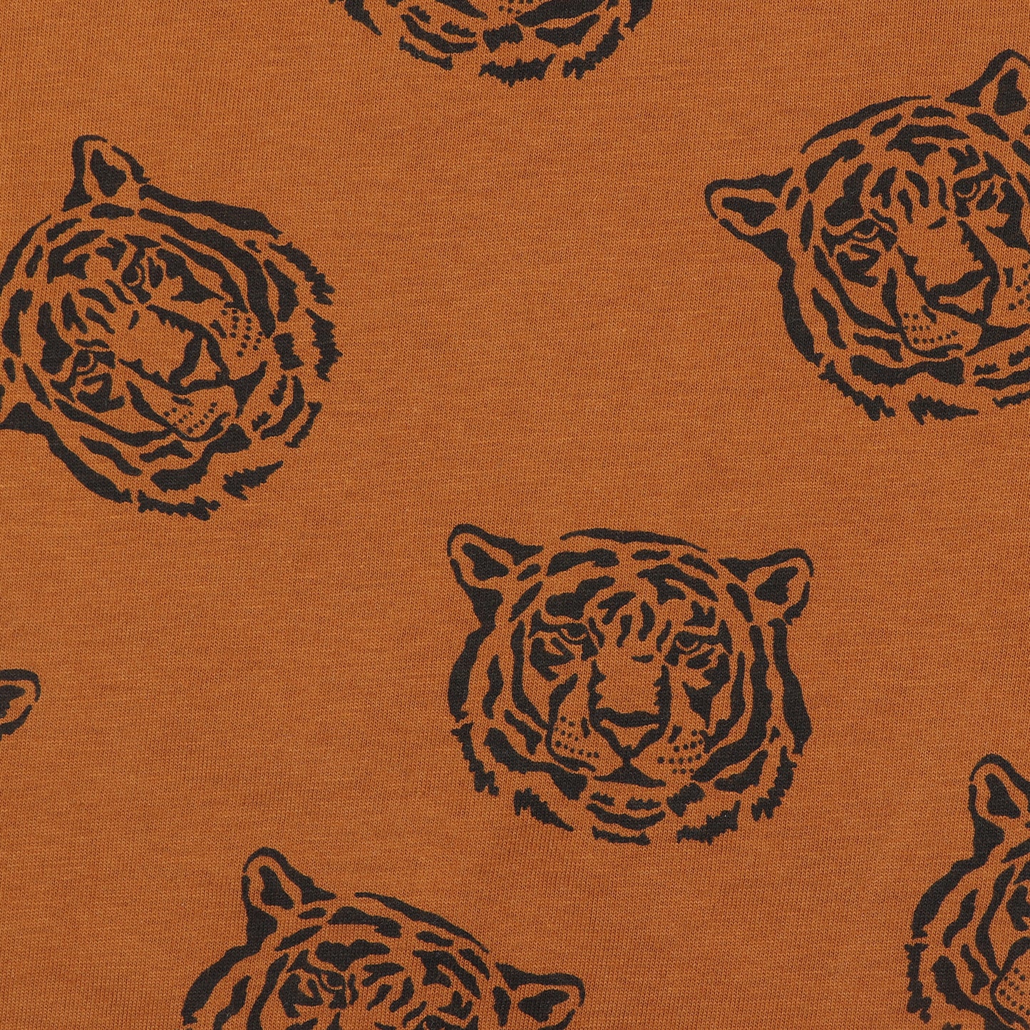 Tiger Print Boys T Shirt
