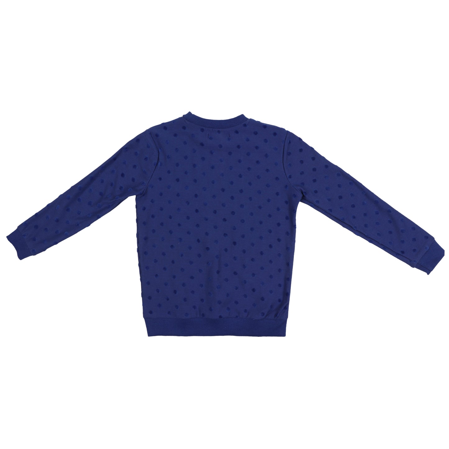 Redtag Blue Girls Sweatshirt