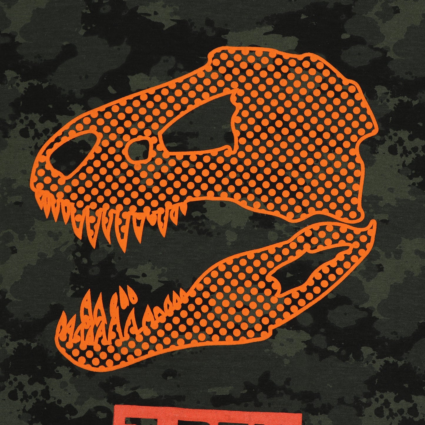 Jurassic Park T Rex Boys T Shirt