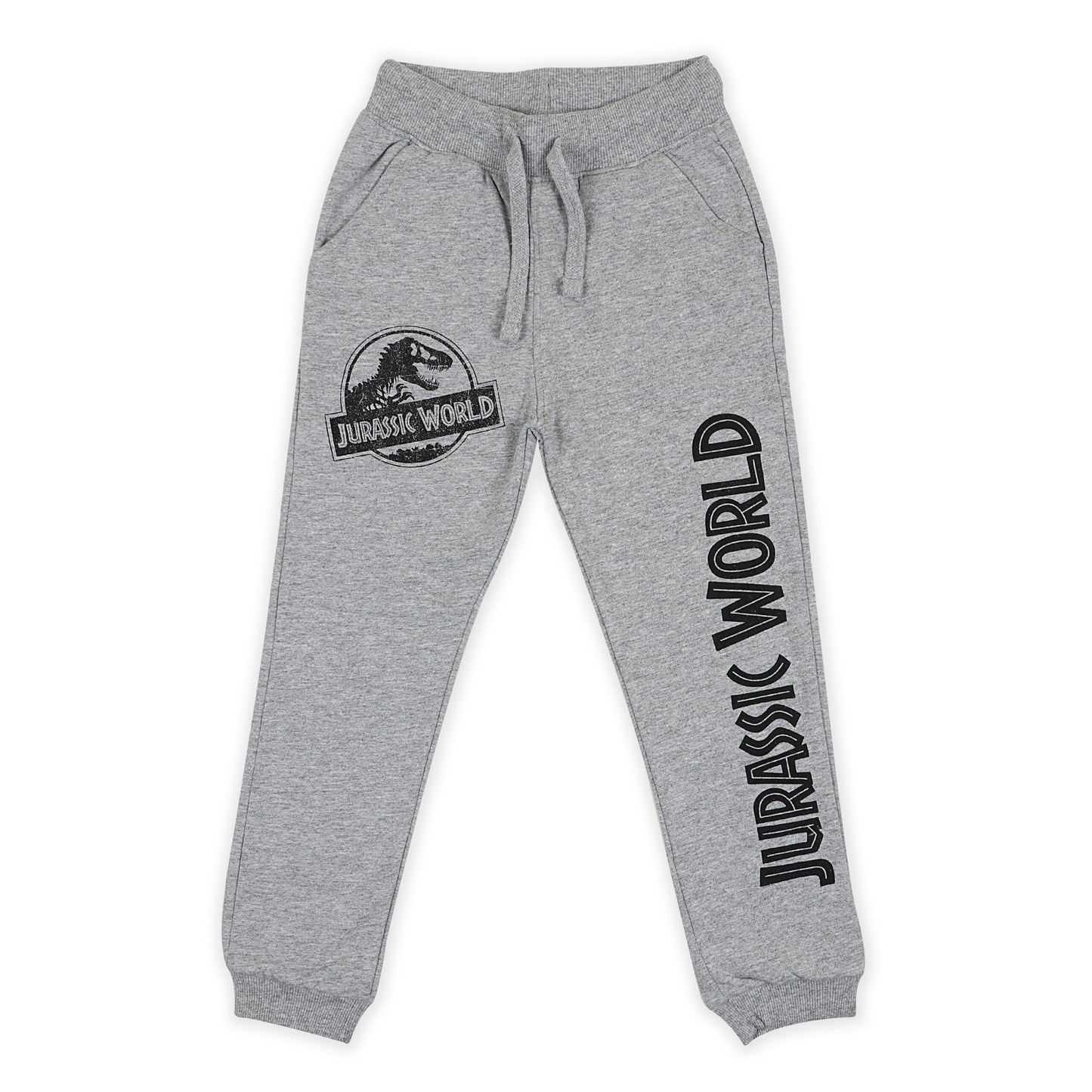 Jurassic World Boys Joggers