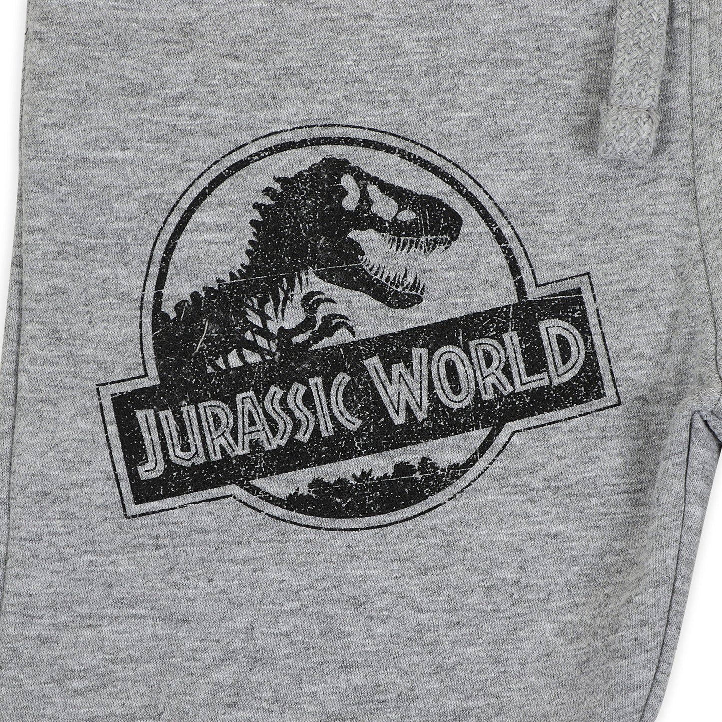 Jurassic World Boys Joggers