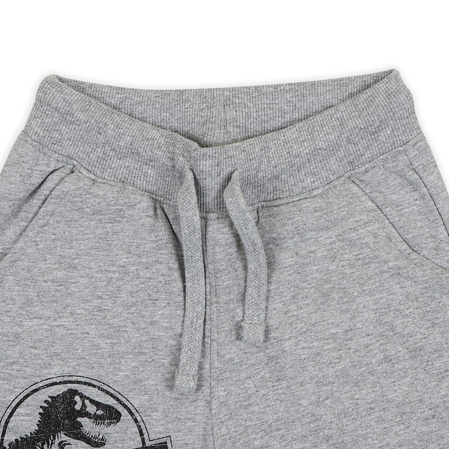 Jurassic World Boys Joggers