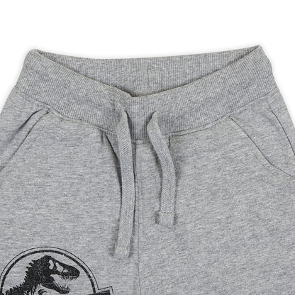 Jurassic World Boys Joggers