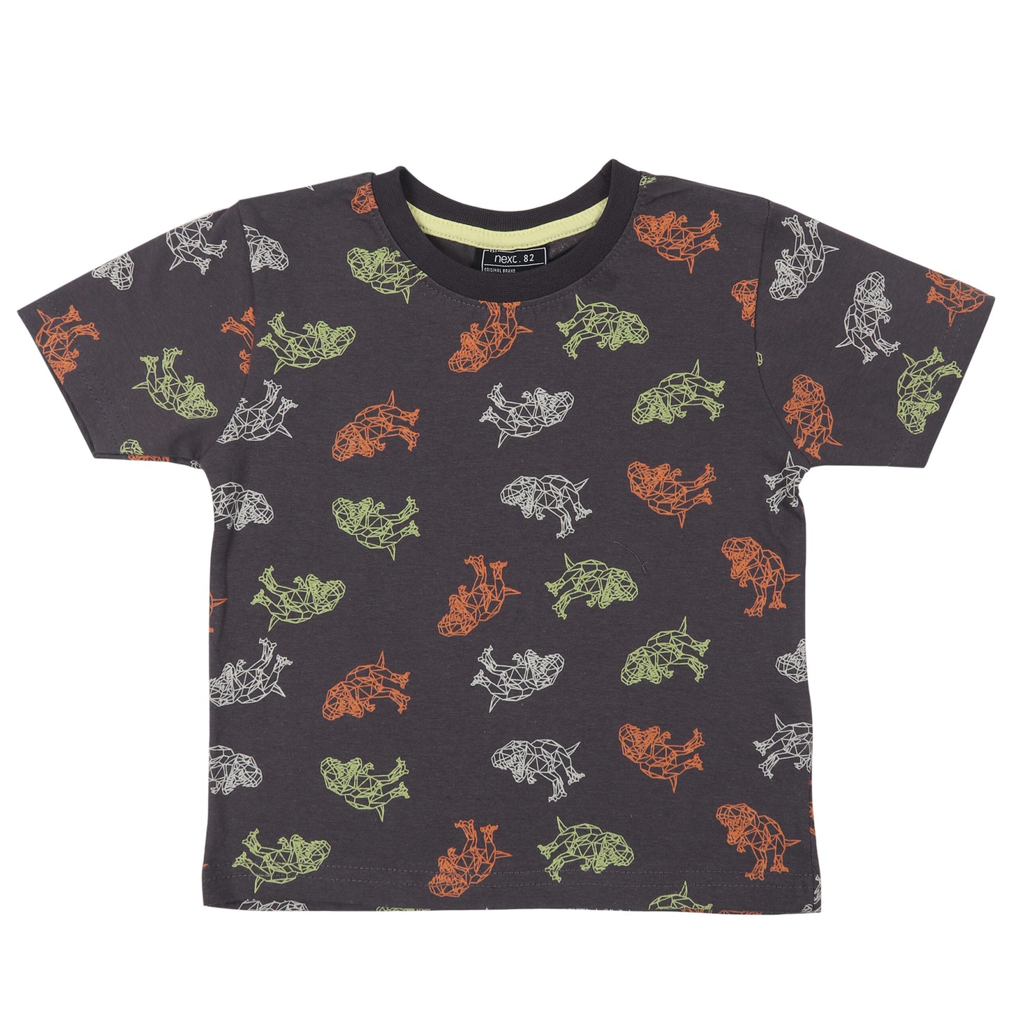 Dinosaur Print Boys T Shirt