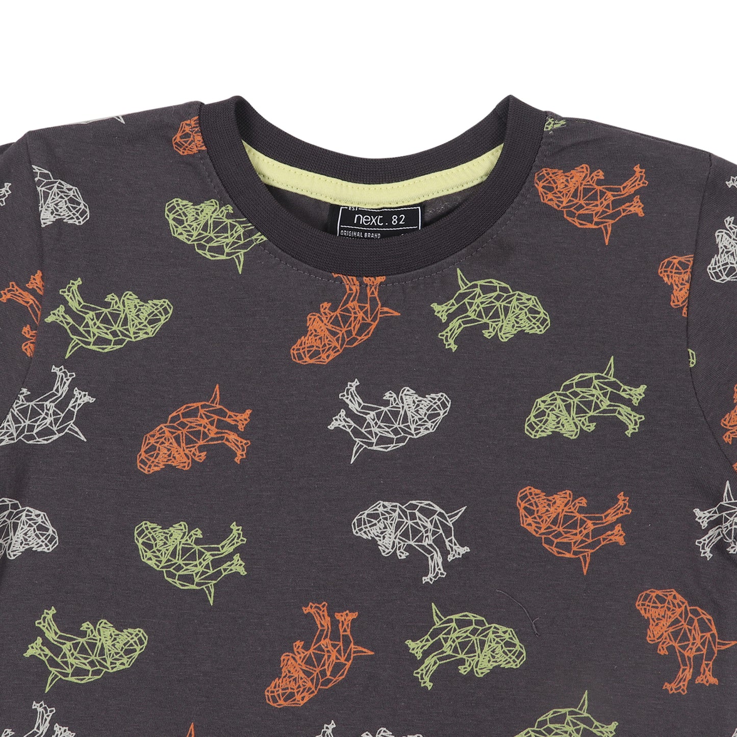 Dinosaur Print Boys T Shirt