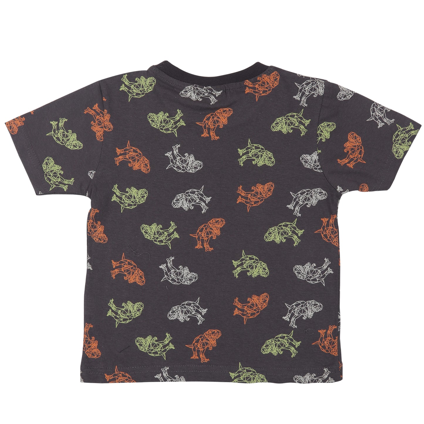 Dinosaur Print Boys T Shirt