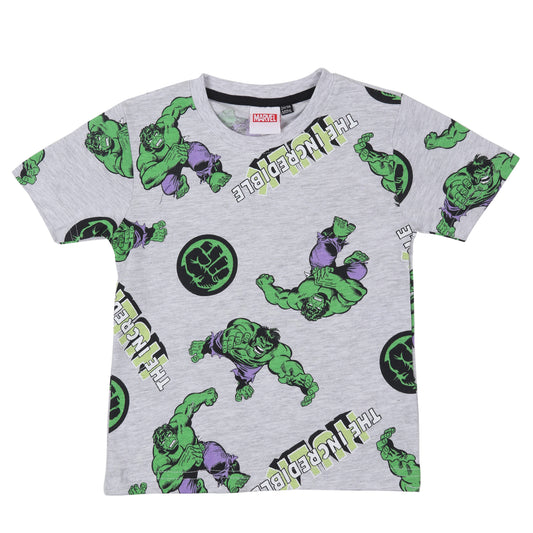 Marvel Incredible Hulk Boys T Shirt
