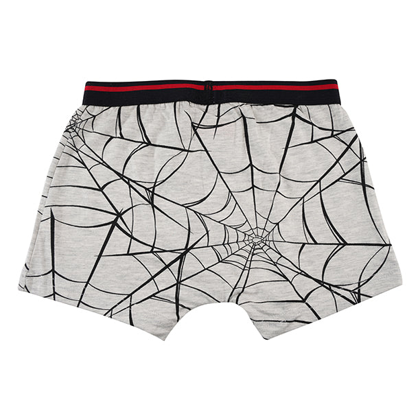 Spiderman Grey Boys Brief All Day And Night Boxers