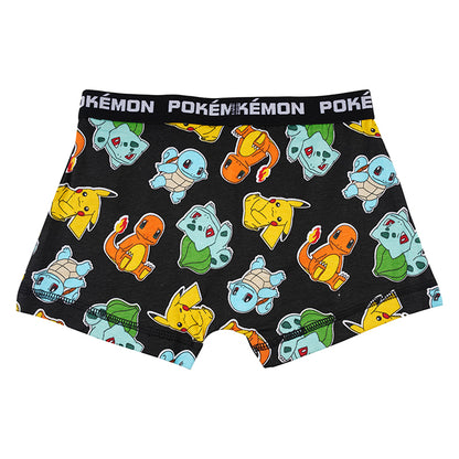 Pokemon Brief All Day And Night Boxers